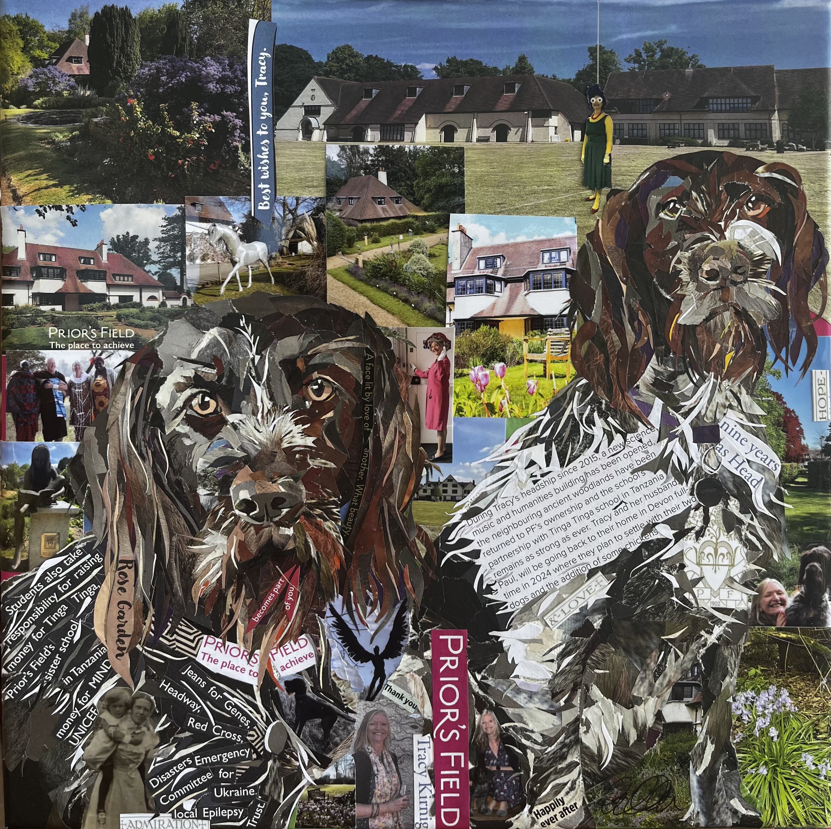 Collage pet portrait