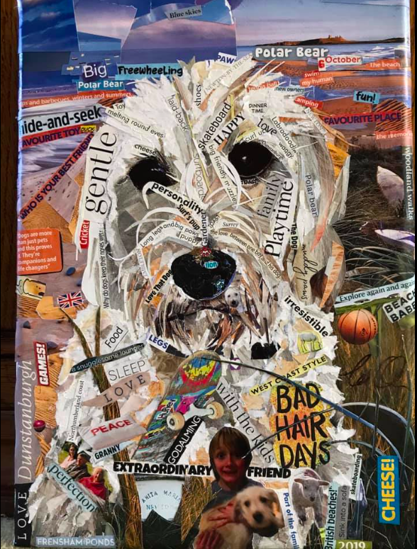 Collage pet portrait
